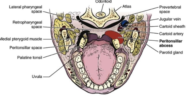 PTA-main-650x336.jpg