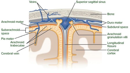  width=