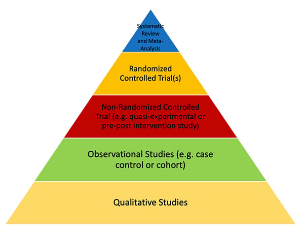 what evidence level is a literature review