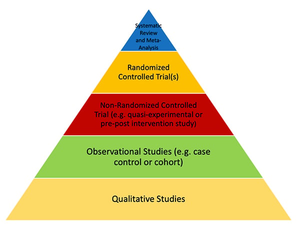 what is an expert review in research