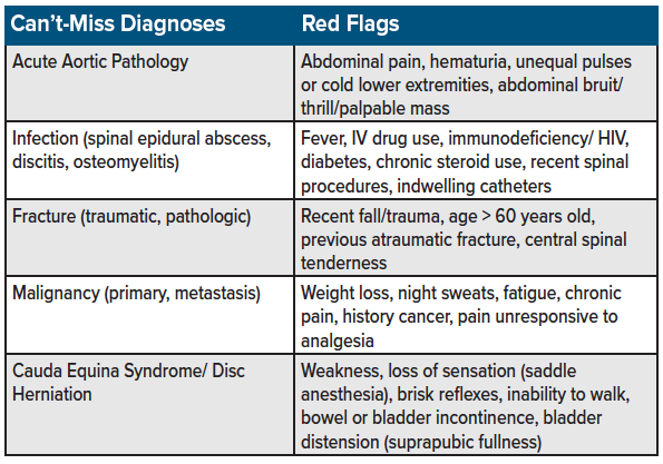 06 - Back Pain - Table 1 - Red Flags.png