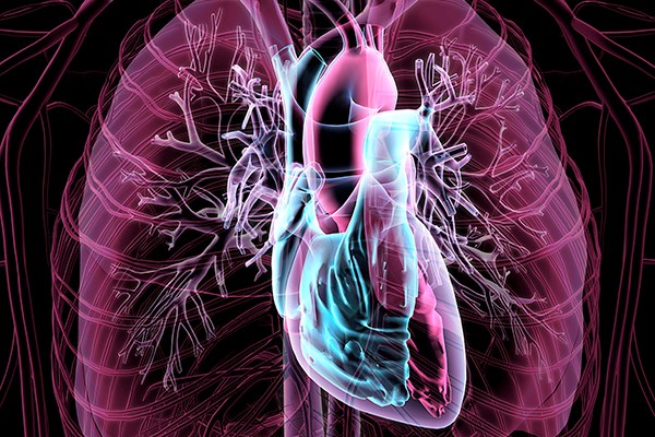 Acute Decompensated Heart Failure Emra