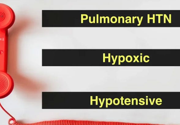 Critical-Pulmonary-Hypertension.jpg Critical-Pulmonary-Hypertension.jpg