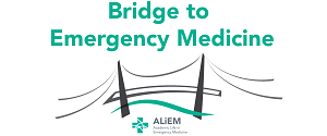 Aliem Bridge to em 300x125.png