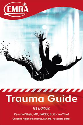 2020_Trauma Guide.png