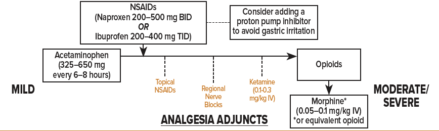 13 - Pain in Older Adults - Algorithm.png