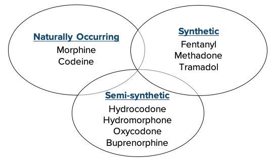 17 - Pharmacology - Opioids Classes.png