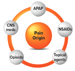 17 - Pharmacology of Pain Image 1.png