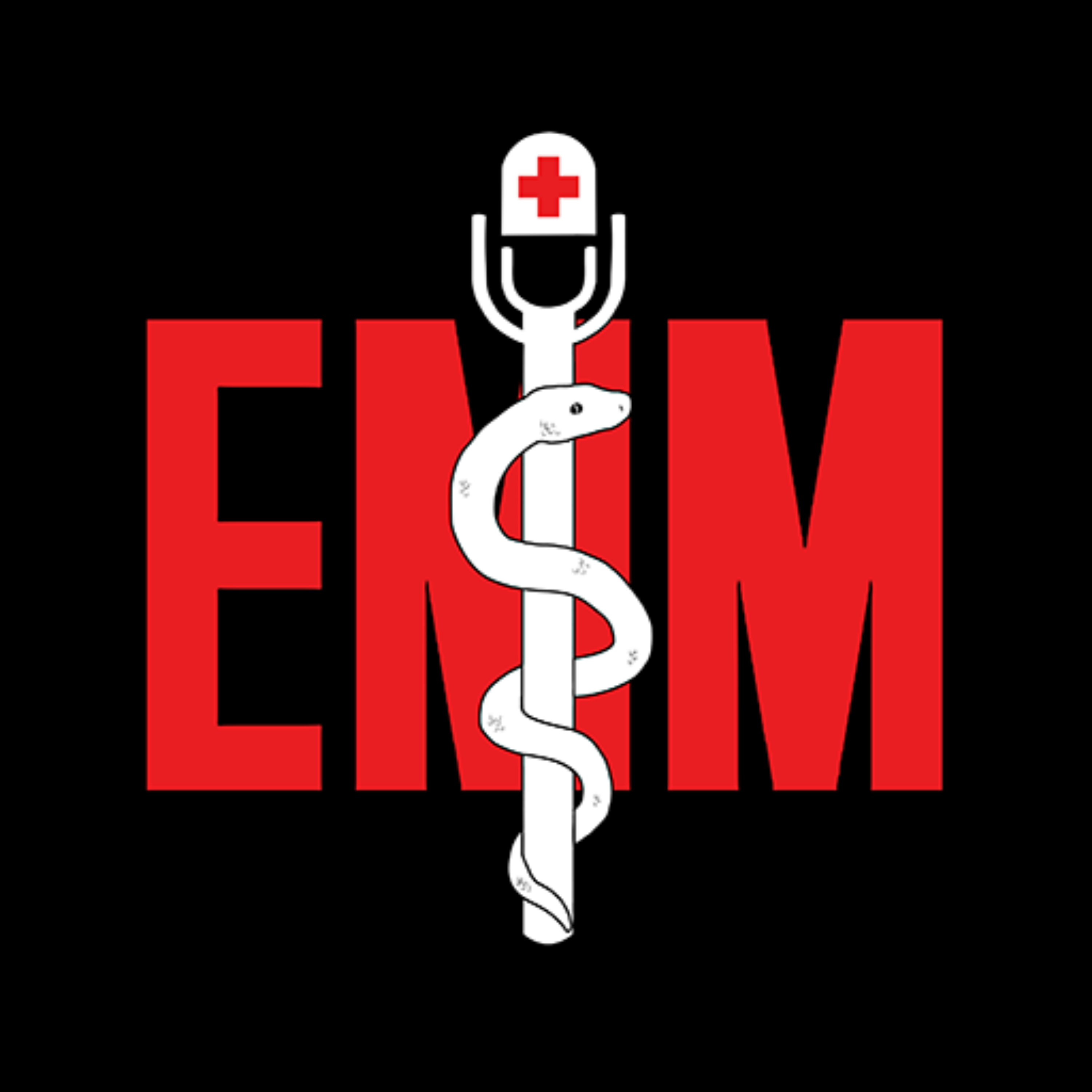 EMM Logo w Black Background.png EMM Logo w Black Background.png