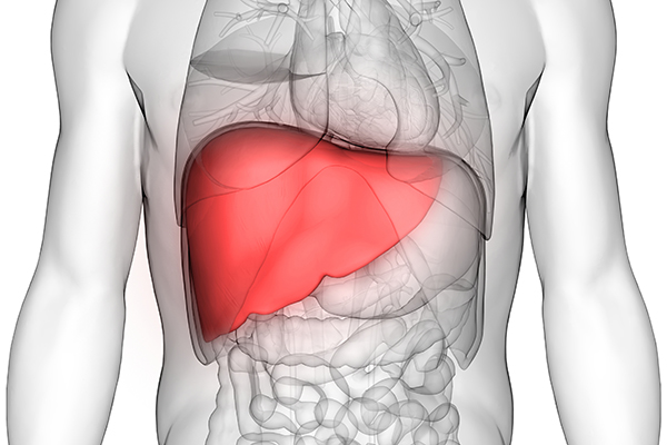 45-3_Hepatic Syndromes.jpg