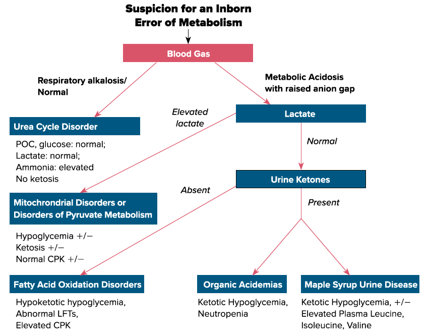 46-2 Inborn Errors of Metabolism.jpg