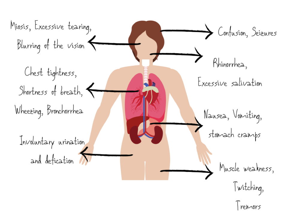 47-3 Nerve Agents - Symptoms.png