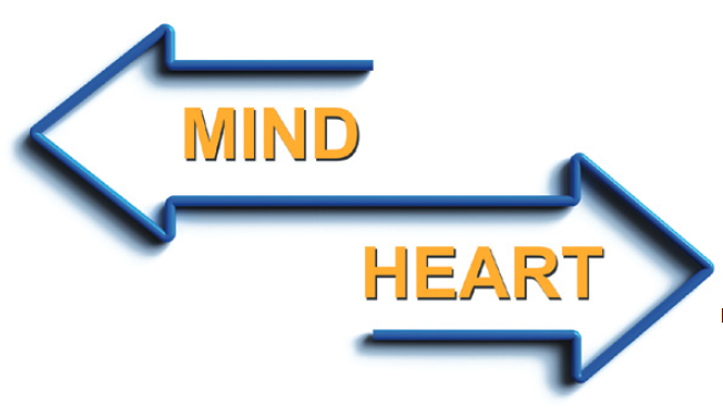 The Hidden Curriculum