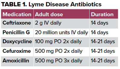 48-3 Lyme Table 1.png