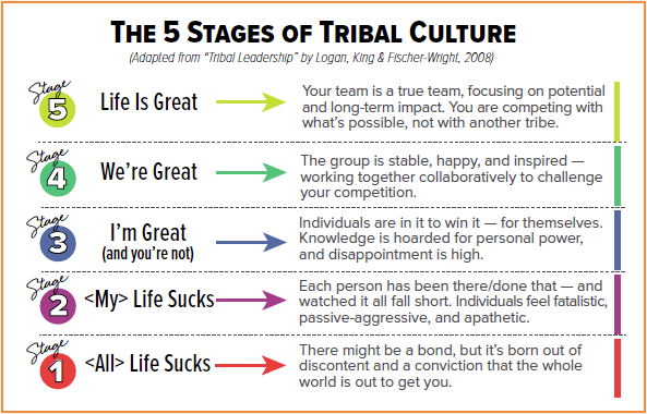 The 5 tribal leadership stages