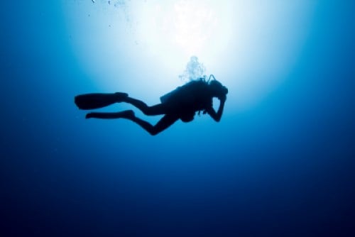 Dive Anchor Art.jpg Dive Anchor Art.jpg