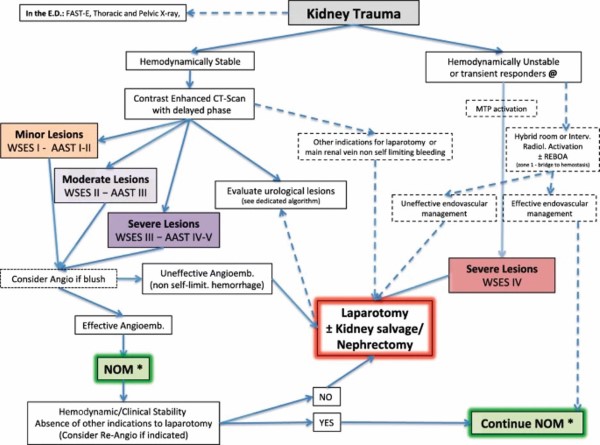Kidney Figure 4.jpg