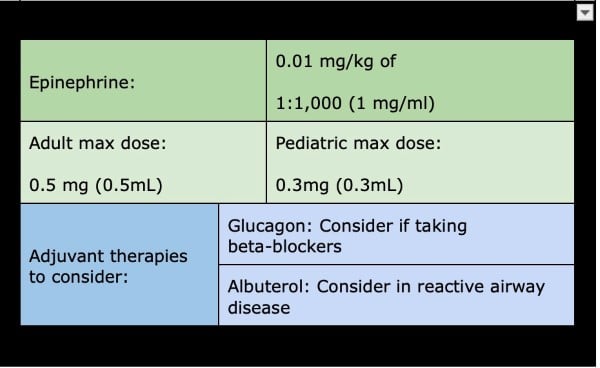 Anaphylaxis Figure 2.jpg