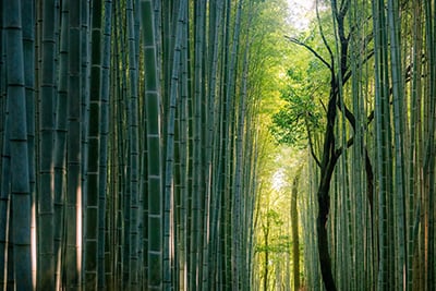 Art Gallery-Photography-10-Jonathan Warren.jpg