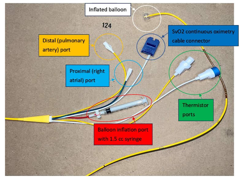 Crit Care Device - PAC 2 - Fig 1.png