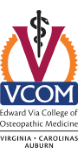 logo-vcom.png