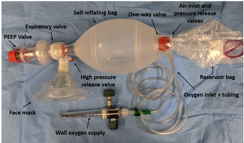 Adult Bag Valve Mask