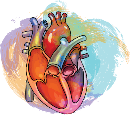 CCA-beta blockers.png CCA-beta blockers.png