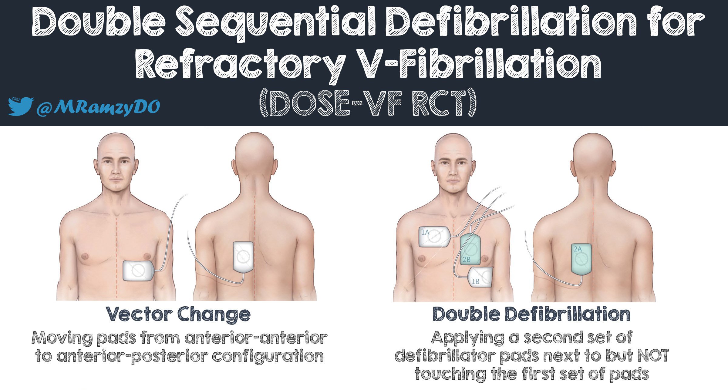 DOSE VF Infographic anchor.jpg