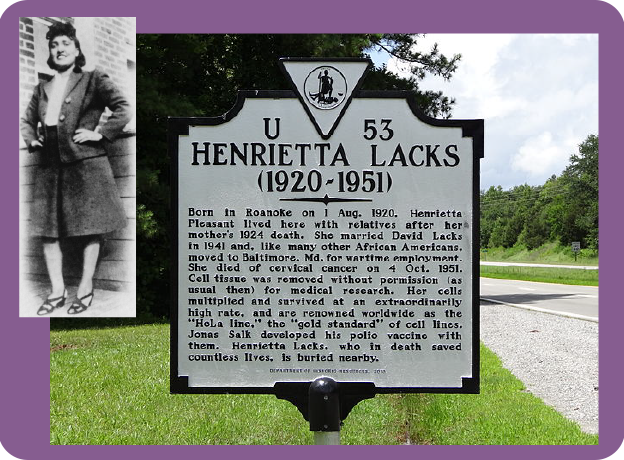 History Matters - Henrietta Lacks.png