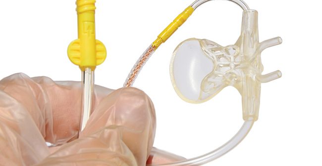 CapMain-650x336.jpg CapMain-650x336.jpg